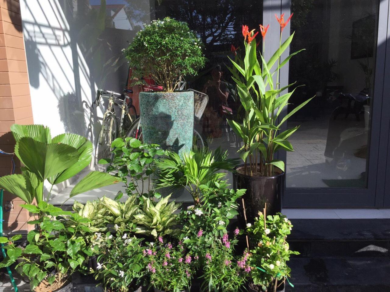 La An Homestay ホイアン エクステリア 写真